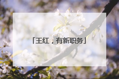 王红，有新职务