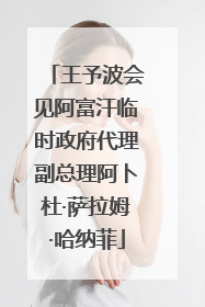 王予波会见阿富汗临时政府代理副总理阿卜杜·萨拉姆·哈纳菲