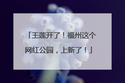 王莲开了！福州这个网红公园，上新了！