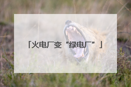 火电厂变“绿电厂”