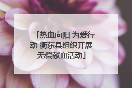 热血向阳 为爱行动 衡东县组织开展无偿献血活动