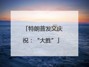 特朗普发文庆祝：“大胜”