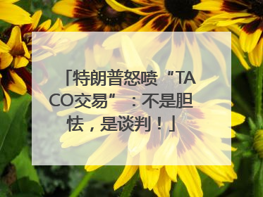 特朗普怒喷“TACO交易”：不是胆怯，是谈判！