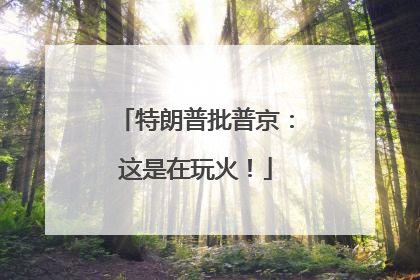 特朗普批普京：这是在玩火！