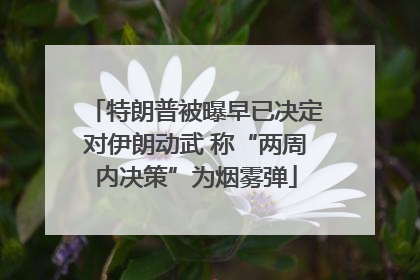 特朗普被曝早已决定对伊朗动武 称“两周内决策”为烟雾弹