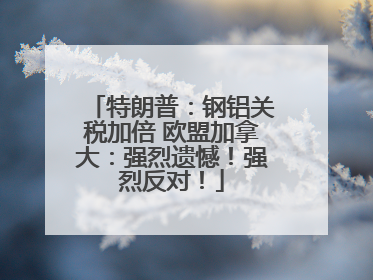 特朗普：钢铝关税加倍 欧盟加拿大：强烈遗憾！强烈反对！