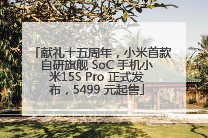 献礼十五周年，小米首款自研旗舰 SoC 手机小米15S Pro 正式发布，5499 元起售