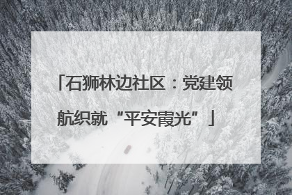 石狮林边社区：党建领航织就“平安霞光”