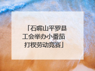 石嘴山平罗县工会举办小番茄打杈劳动竞赛