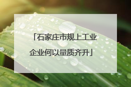 石家庄市规上工业企业何以量质齐升