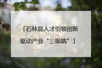 石林县人才引领创新驱动产业“三级跳”