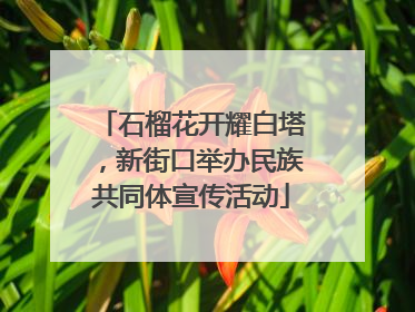 石榴花开耀白塔，新街口举办民族共同体宣传活动