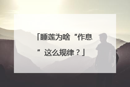 睡莲为啥“作息”这么规律？