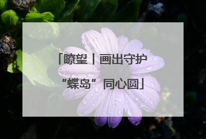 瞭望丨画出守护“蝶岛”同心圆
