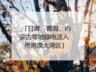 甘肃、青海、内蒙古等地绿电送入粤港澳大湾区