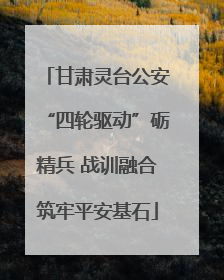 甘肃灵台公安“四轮驱动”砺精兵 战训融合筑牢平安基石