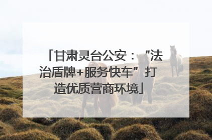 甘肃灵台公安：“法治盾牌+服务快车”打造优质营商环境