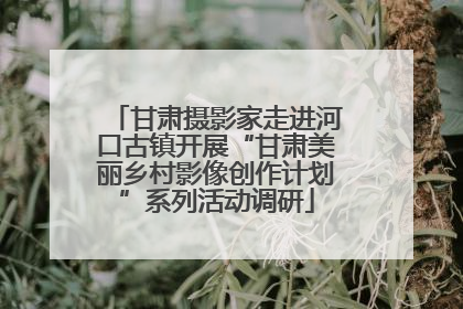 甘肃摄影家走进河口古镇开展“甘肃美丽乡村影像创作计划”系列活动调研
