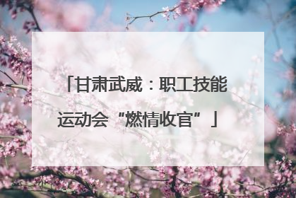 甘肃武威：职工技能运动会“燃情收官”