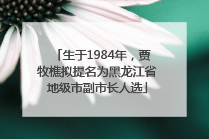 生于1984年，贾牧樵拟提名为黑龙江省地级市副市长人选