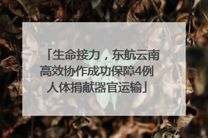 生命接力，东航云南高效协作成功保障4例人体捐献器官运输