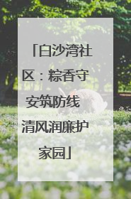 白沙湾社区：粽香守安筑防线 清风润廉护家园