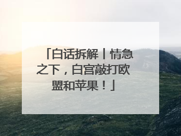 白话拆解丨情急之下，白宫敲打欧盟和苹果！