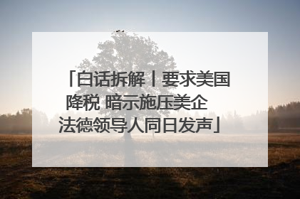 白话拆解丨要求美国降税 暗示施压美企 法德领导人同日发声