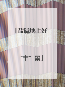 盐碱地上好“丰”景