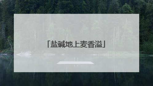 盐碱地上麦香溢