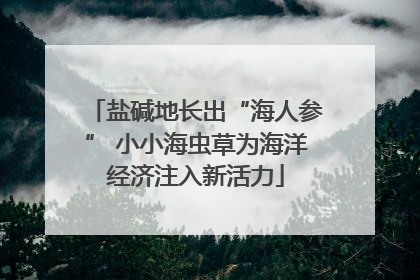 盐碱地长出“海人参” 小小海虫草为海洋经济注入新活力