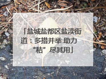 盐城盐都区盐渎街道：多措并举 助力“秸”尽其用