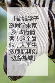 盐城学子邀同学来家乡 政府请客！这个暑假，大学生多项福利免费游盐城