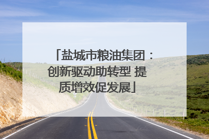 盐城市粮油集团：创新驱动助转型 提质增效促发展