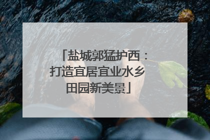 盐城郭猛护西：打造宜居宜业水乡田园新美景