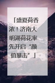 盛夏荷香浓！济南大明湖荷花率先开启“颜值暴击”