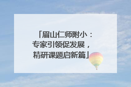 眉山仁师附小：专家引领促发展，精研课题启新篇
