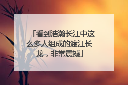 看到浩瀚长江中这么多人组成的渡江长龙，非常震撼