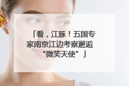 看，江豚！五国专家南京江边考察邂逅“微笑天使”