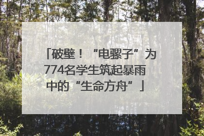 破壁！“电骡子”为774名学生筑起暴雨中的“生命方舟”