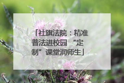 社旗法院：精准普法进校园 “定制”课堂润师生