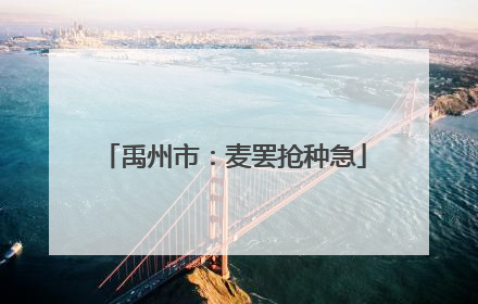 禹州市：麦罢抢种急
