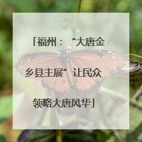 福州：“大唐金乡县主展”让民众领略大唐风华
