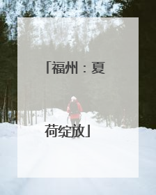 福州：夏荷绽放