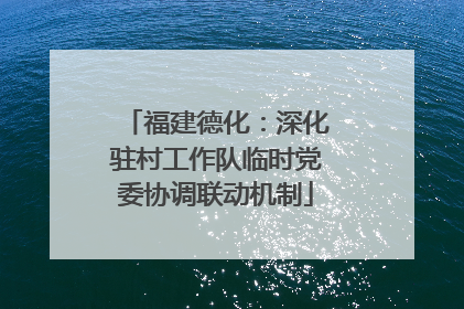 福建德化：深化驻村工作队临时党委协调联动机制