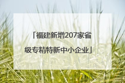 福建新增207家省级专精特新中小企业