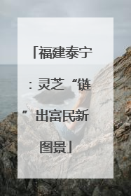 福建泰宁：灵芝“链”出富民新图景