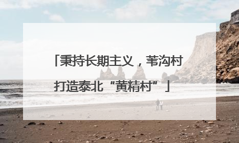 秉持长期主义，苇沟村打造泰北“黄精村”