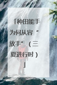 种田能手为何从容“放手”（三夏进行时）