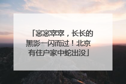 窸窸窣窣，长长的黑影一闪而过！北京有住户家中蛇出没